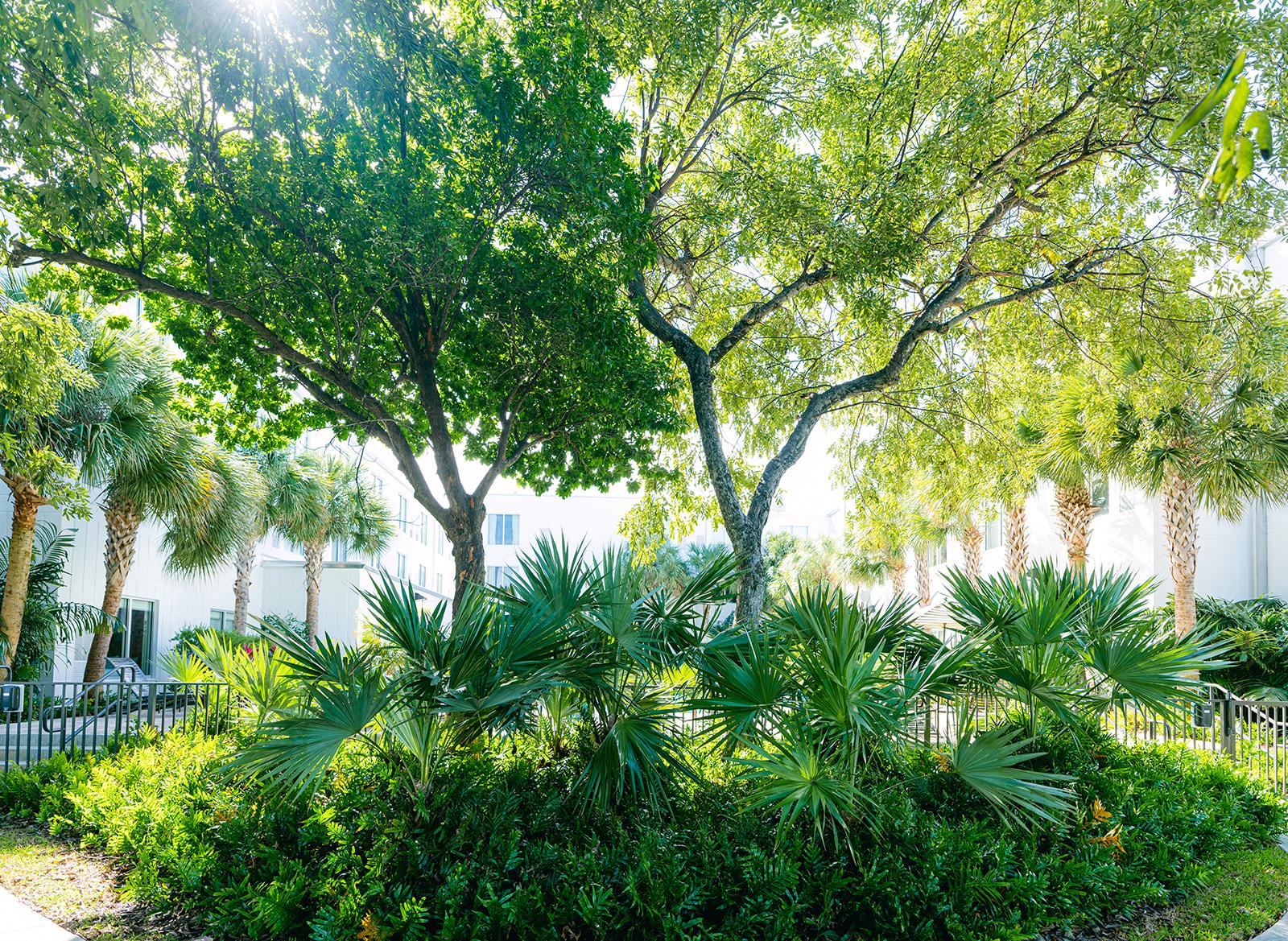 Faro Blanco Resort & Yacht Club Marathon, Curio By Hilton Exterior photo